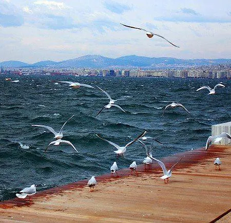 Blue City Center Boutique Apartment Selanik Dış mekan fotoğraf