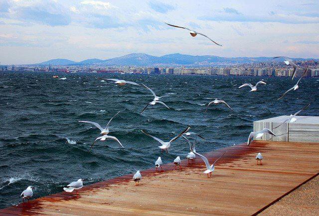 Blue Center Boutique Apartment Thessaloniki